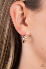 Load image into Gallery viewer, Starfish Showpiece - Multi Earrings